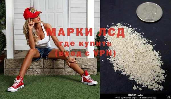 индика Алексин
