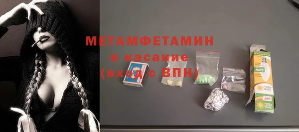 индика Алексин