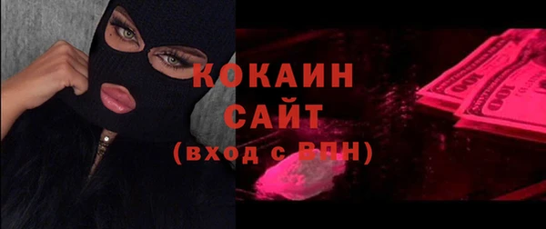 прущие грибы Снежинск
