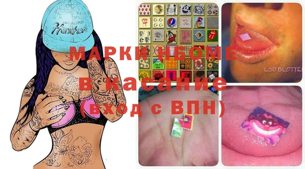 индика Алексин