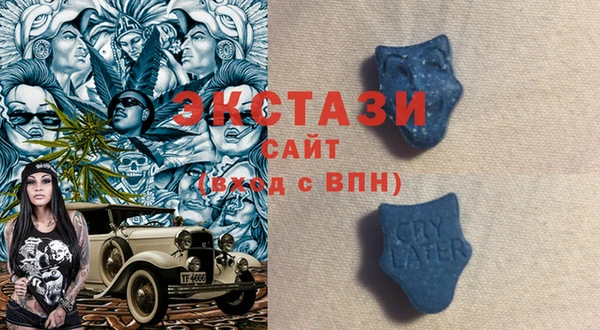 гидра Слюдянка