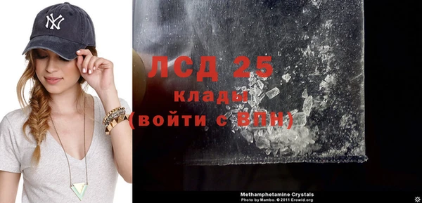 индика Алексин