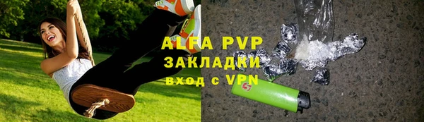 индика Алексин