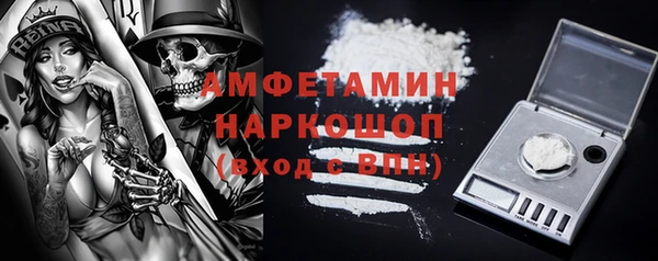 индика Алексин